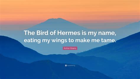 the bird of the hermes|i am the bird of hermes eating my own wings.